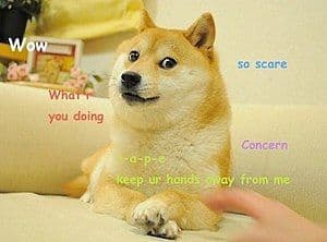 This is doge meme with many captions wow!